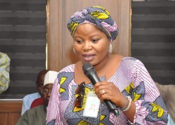 Niger Government Reiterates Commitment to End Banditry