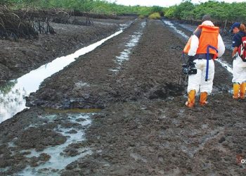Federal Government Reveals; Ogoni Cleanup May Last 10 Years