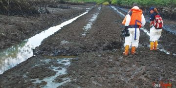 Federal Government Reveals; Ogoni Cleanup May Last 10 Years