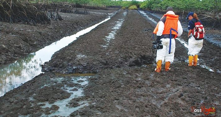 Federal Government Reveals; Ogoni Cleanup May Last 10 Years