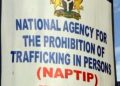 NAPTIP Secures Release of 15 Nigerian Girls