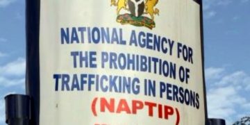 NAPTIP Secures Release of 15 Nigerian Girls