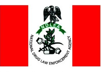 NDLEA Calls for Compulsory Drug Integrity Test for Students
