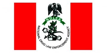 NDLEA Calls for Compulsory Drug Integrity Test for Students