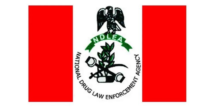 NDLEA Calls for Compulsory Drug Integrity Test for Students