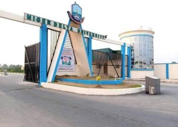 Niger Delta University Joins Strike