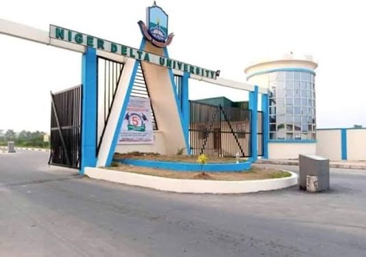 Niger Delta University Joins Strike