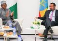 President Buhari Calls for Joint Efforts Towards Development of Africa
