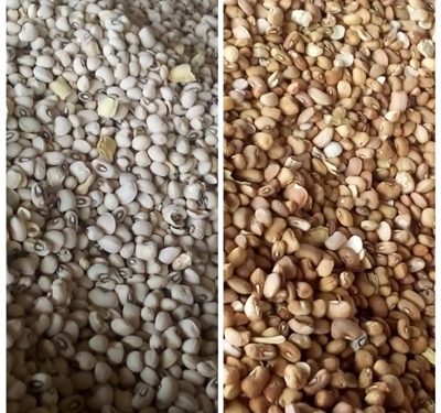 Price of Beans Rises