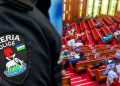 Senate Calls for Reform of Police Force