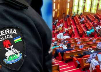 Senate Calls for Reform of Police Force