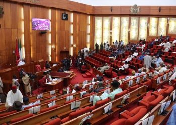 Senate Confirms INEC Commissioners