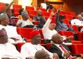 Senate Passes 2022 Civil Aviation Bill