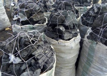 Kogi bans production of charcoal