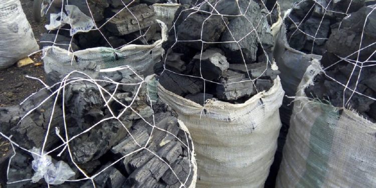Kogi bans production of charcoal