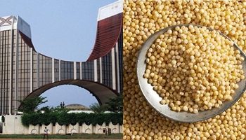 ECOWAS Donates Fund to Boost Nutrition Needs in Nigeria
