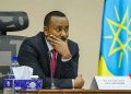 Ethiopia Declares Indefinite Humanitarian Truce