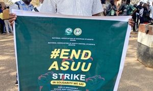 NANS Issues Two Weeks Ultimatum to ASUU and FG