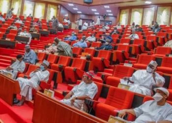 NASS Approves Autonomy for Local Governments