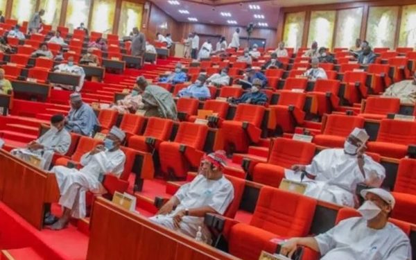 NASS Approves Autonomy for Local Governments