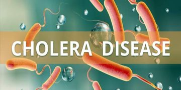 NCDC Records New Cases of Cholera