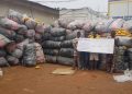 NDLEA Intercepts Three Million Capsules of Opioids in Lagos