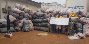 NDLEA Intercepts Three Million Capsules of Opioids in Lagos