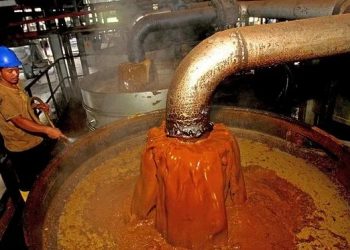 NEPC Calls for Scaled Up Production of Palm Oil
