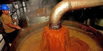 NEPC Calls for Scaled Up Production of Palm Oil