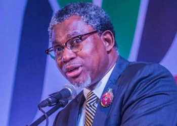 Mines Minister Laments Raw Ore Export