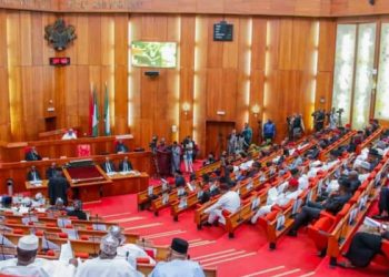 Senate constitutes panel to probe DStv tariff hike