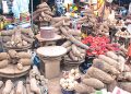 Edo government to leverage on technology to boost food security