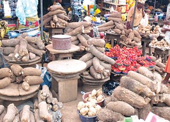 Edo government to leverage on technology to boost food security