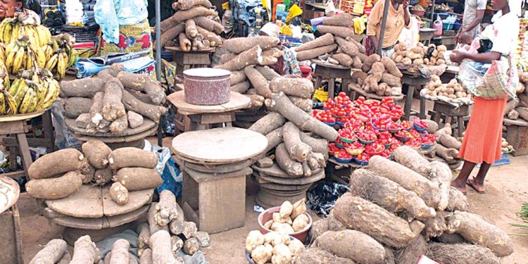 Edo government to leverage on technology to boost food security
