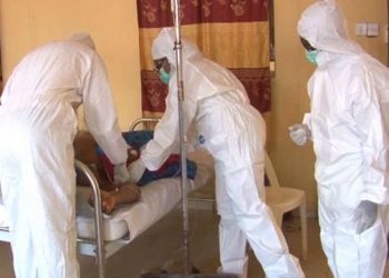 FG Says Lassa Fever Has Claimed 132 Lives in 2022
