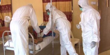 FG Says Lassa Fever Has Claimed 132 Lives in 2022
