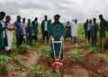 FG Commences Training for Cassava Farmers