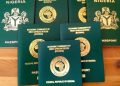 FG Introduces System for Tracking and Monitoring of Passport Applications