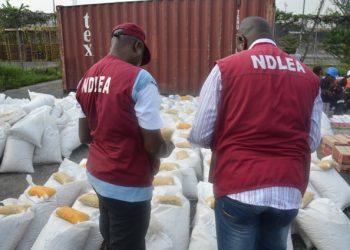 Gombe government seeks partnership with NDLEA to end drug abuse
