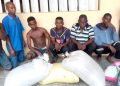 Ogun Police Discovers Cannabis Farm