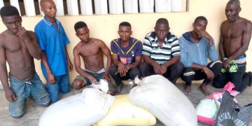 Ogun Police Discovers Cannabis Farm