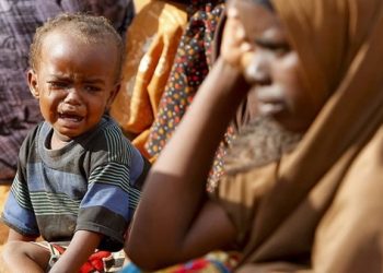 UN Says at Least Four Million Nigerians Face Pain of Food Insecurity