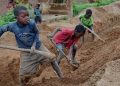 Federal government calls for action against child labor