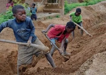 Federal government calls for action against child labor