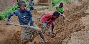 Federal government calls for action against child labor