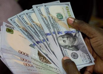 NAIRA FALLS TO ITS LOWEST AT THE INVESTORS AND EXPORTERS WINDOW