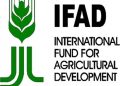 Agric imports hit N2.7trillion