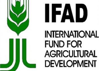 Agric imports hit N2.7trillion