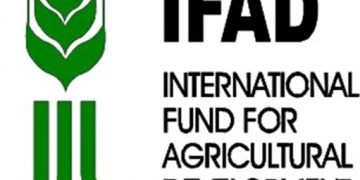 Agric imports hit N2.7trillion