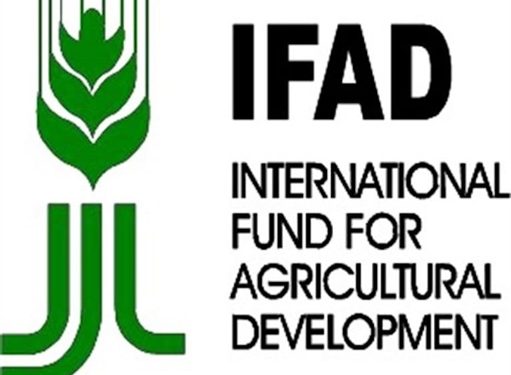 Agric imports hit N2.7trillion